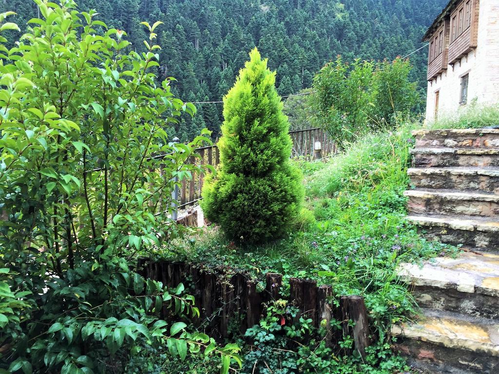 Old Inn Gorianádhes Buitenkant foto